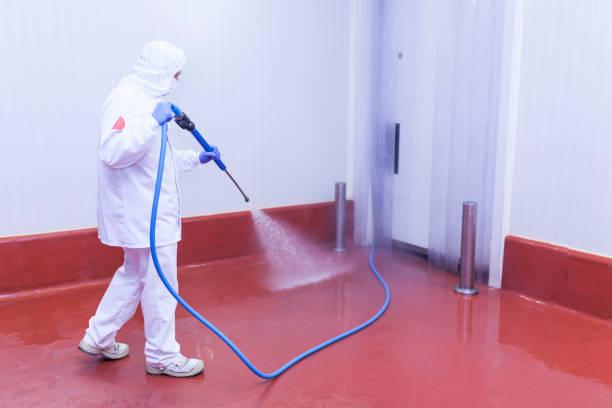 Best Patio and Deck Pressure Washing  in Oak Leaf, TX