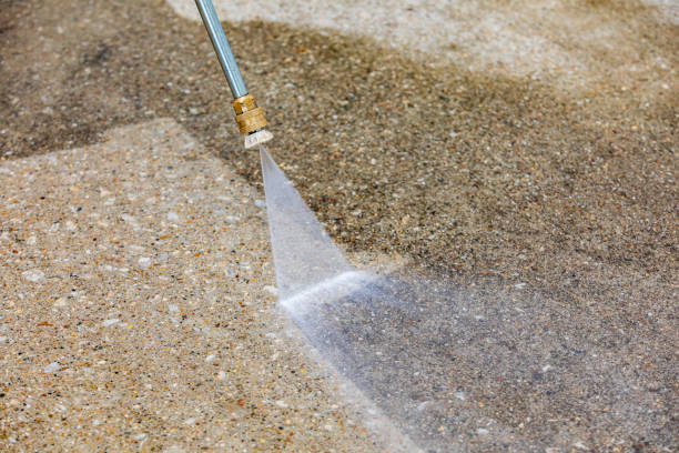 Best Animal Enclosure Cleaning  in Oak Leaf, TX